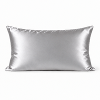 Taie d'oreiller en soie de mûrier argentée LuvieSilk
